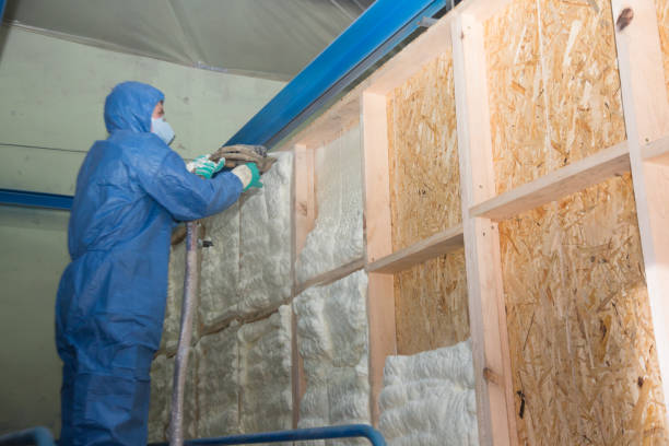 Best Local Insulation Services  in Algona, IA